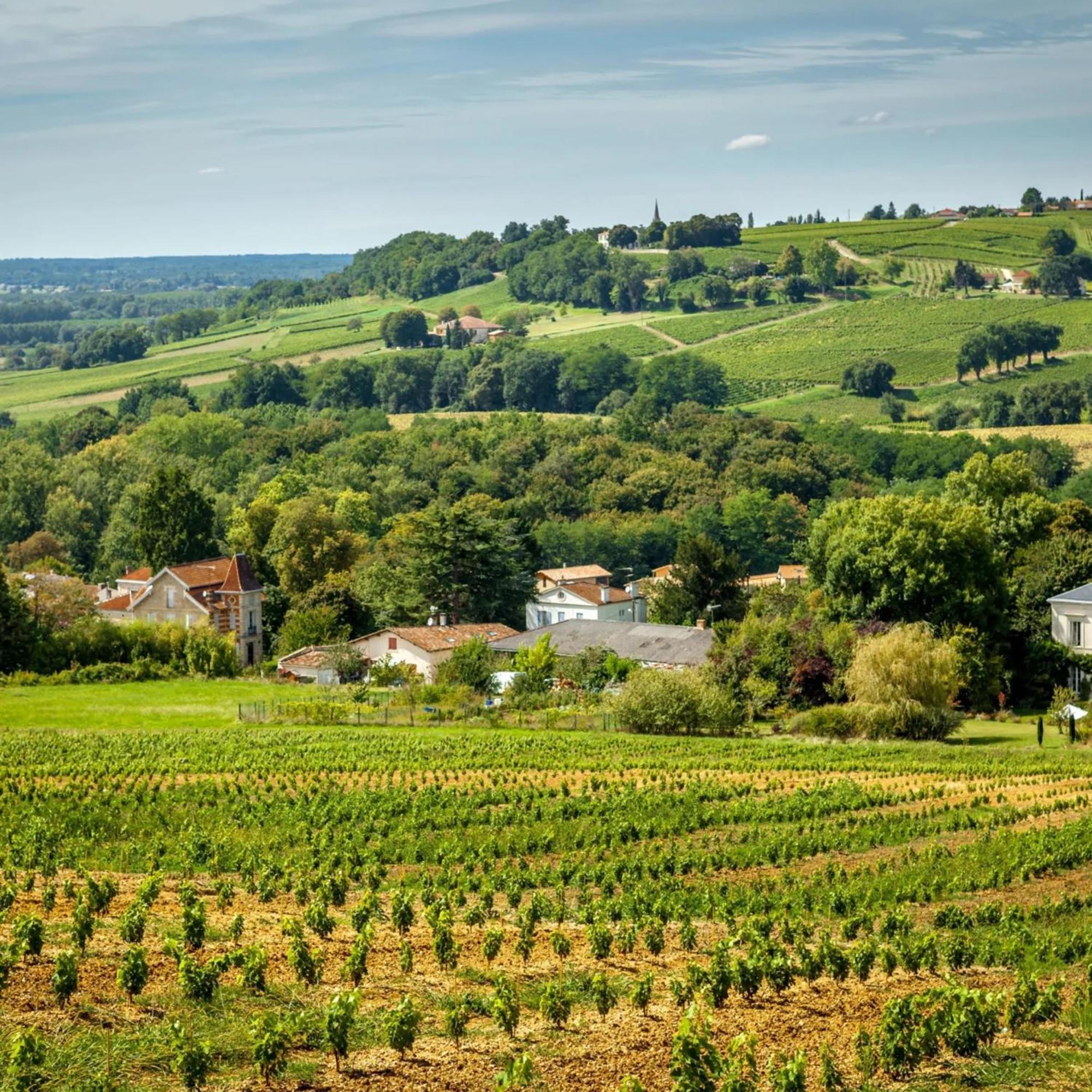 Entre Bordeaux Et L'atlantique Avec Jardin